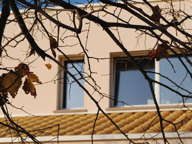 Una villa unifamiliare in legno progettata dallo Studio Ossigeno, con tanto vetro e legno non strutturale a vista.